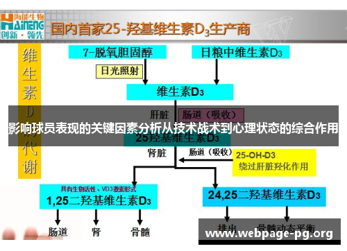 影响球员表现的关键因素分析从技术战术到心理状态的综合作用