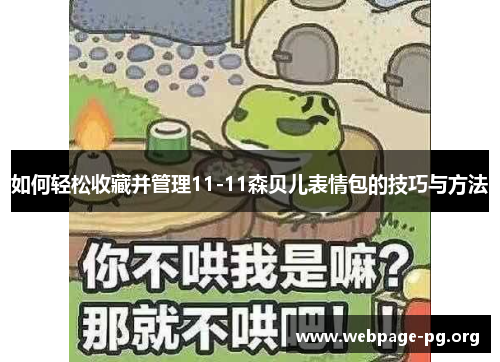 如何轻松收藏并管理11-11森贝儿表情包的技巧与方法