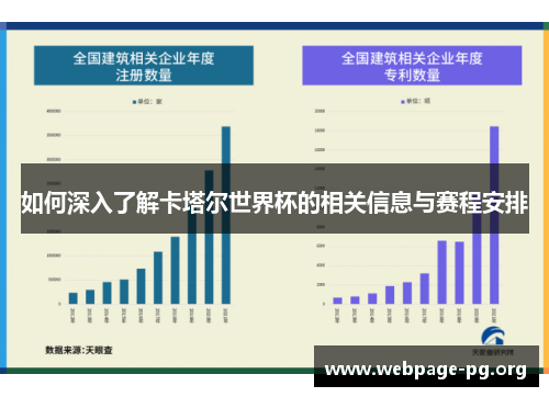 如何深入了解卡塔尔世界杯的相关信息与赛程安排