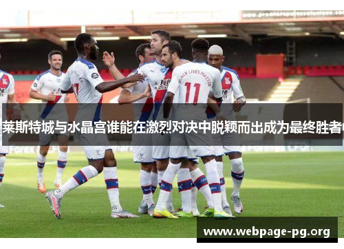 莱斯特城与水晶宫谁能在激烈对决中脱颖而出成为最终胜者