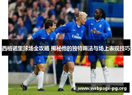 西格诺里球场全攻略 揭秘他的独特踢法与场上表现技巧